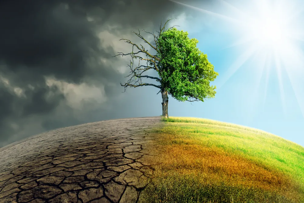 Przywódcy UE uzgodnili zwiększenie celu klimatycznego na 2030 rok
