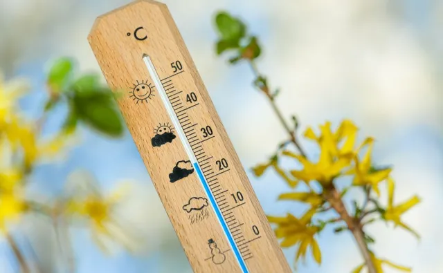 Za nami ciepły dzień. W Legnicy odnotowano 14,6 st. C