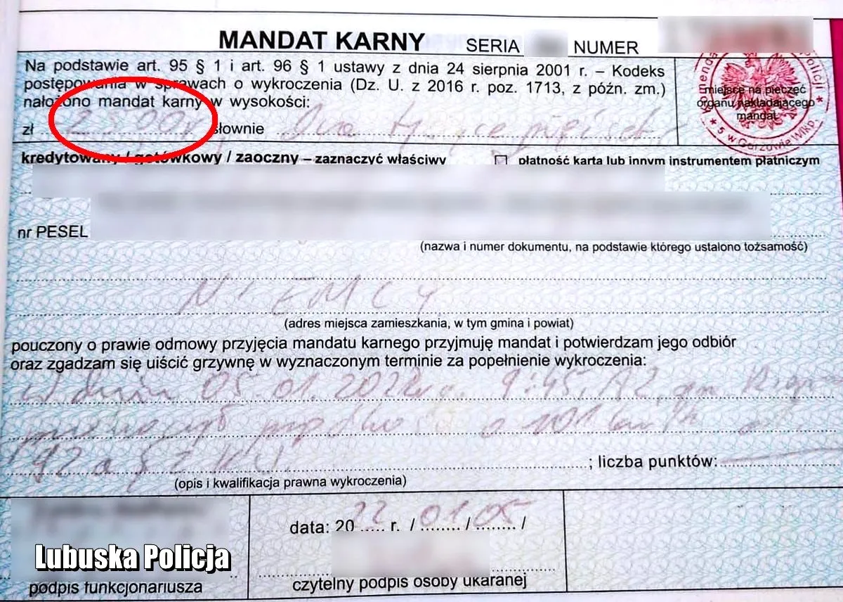 Pierwszy Niemiec dostał rekordowy mandat w Polsce. Szalał na autostradzie A2