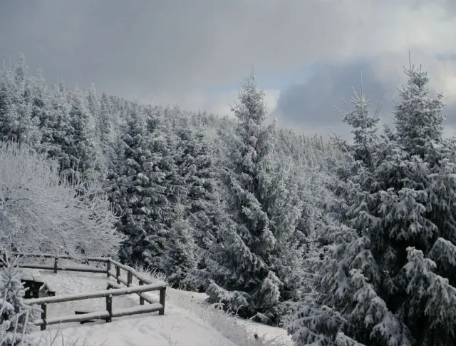 Goprowcy odnaleźli mężczyznę, który zgubił się w Beskidach. "Warunki są tam bardzo trudne"