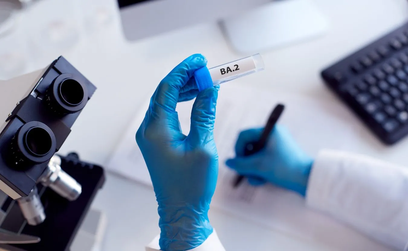 Podwariant Omikron, Ba.2