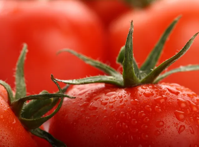 Naukowcy chwalą się sukcesem: Pomidory pełne witaminy D