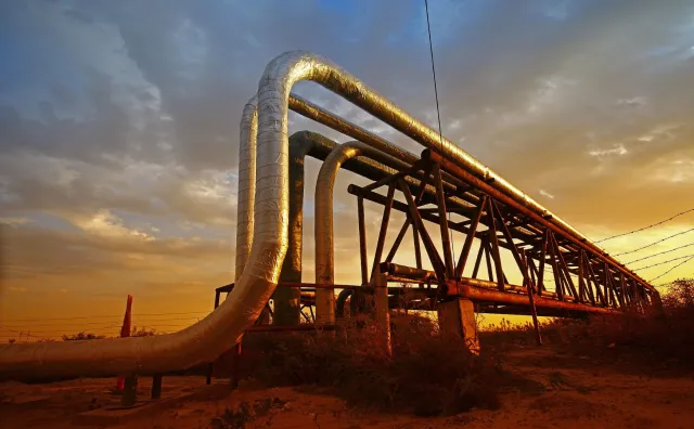 Sieć zależności i powiązań. Dlaczego w sprawie broni dla Ukrainy Niemcy prowadzą grę pozorów?