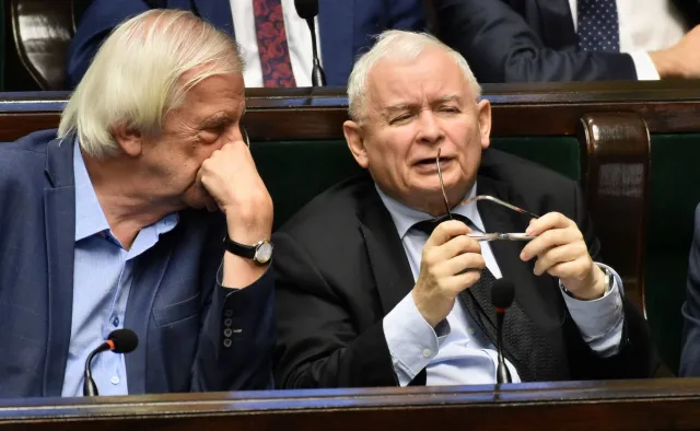 Polska Żabka? "Oby mu do końca nie odbiło. Państwu, oczywiście"