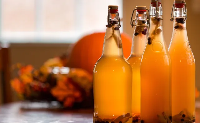 Wzmacnia odporność, odbudowuje mikrobiotę: KOMBUCHA. Ale trzeba z nią uważać