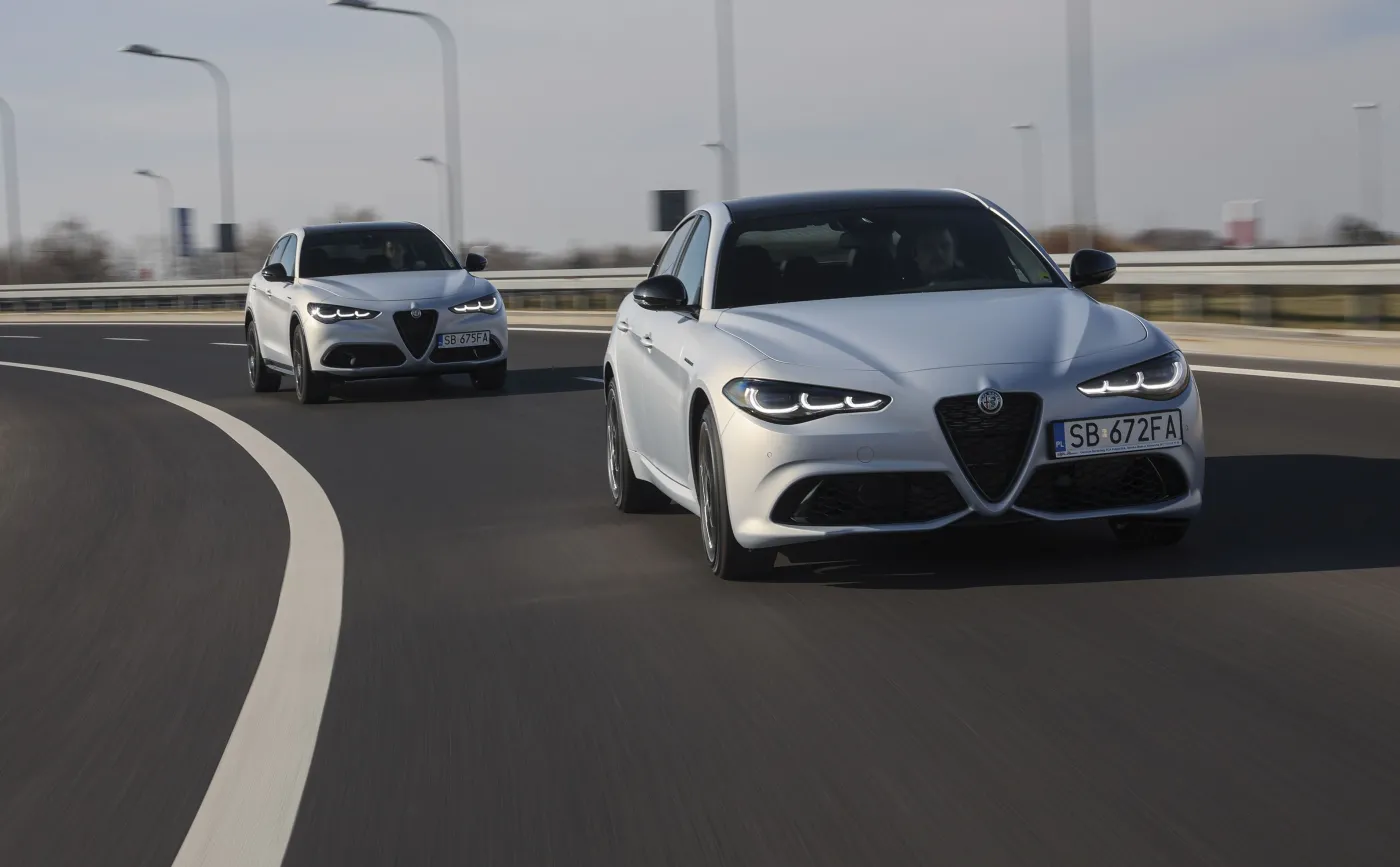 -alfa8-37750071.jpg