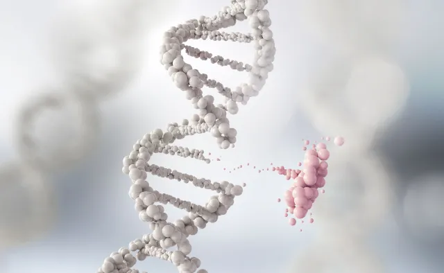 Ponad tysiąc genów powiązanych z ciężkim przebiegiem COVID-19