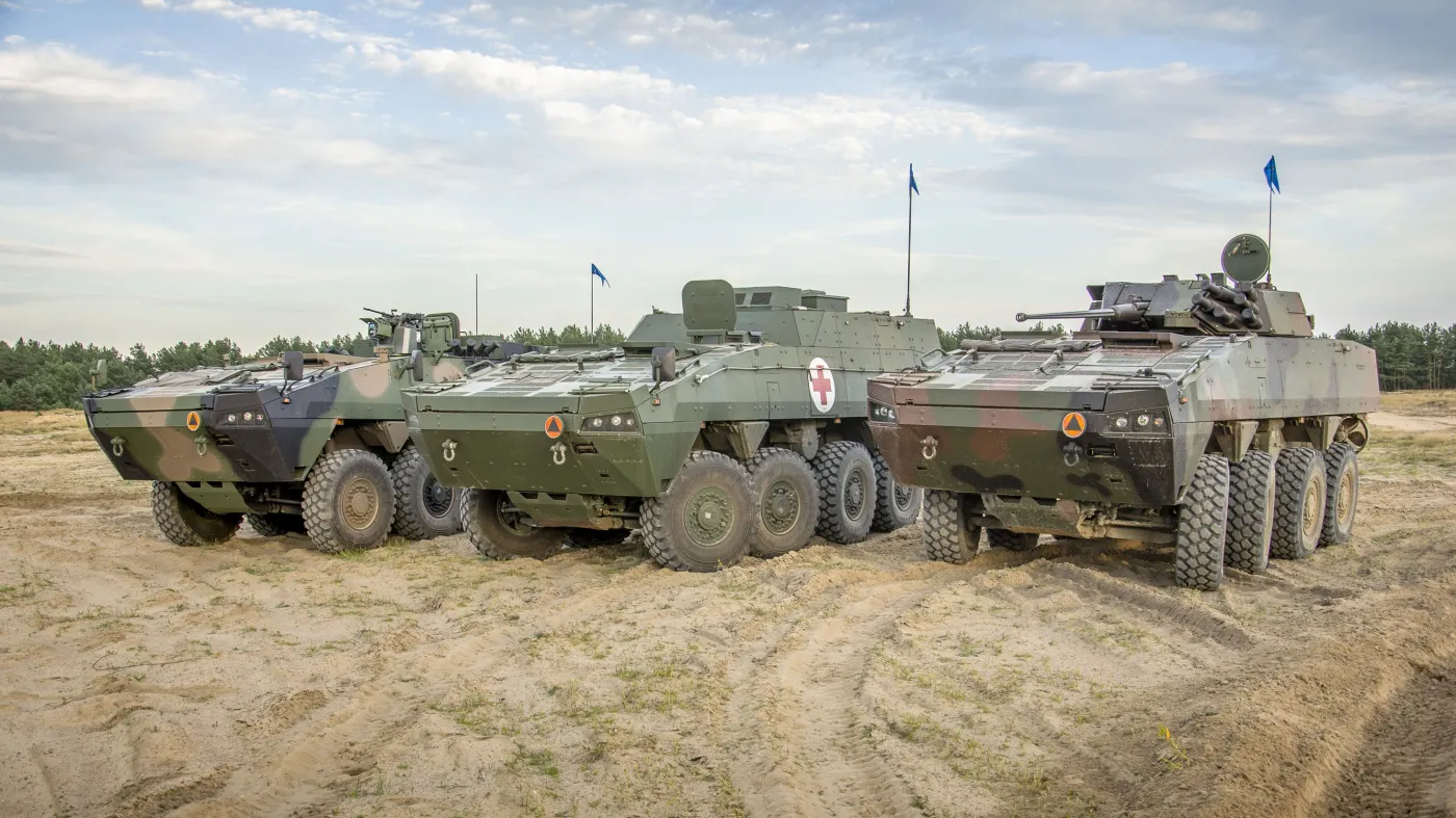 rosomak-37837408.jpg