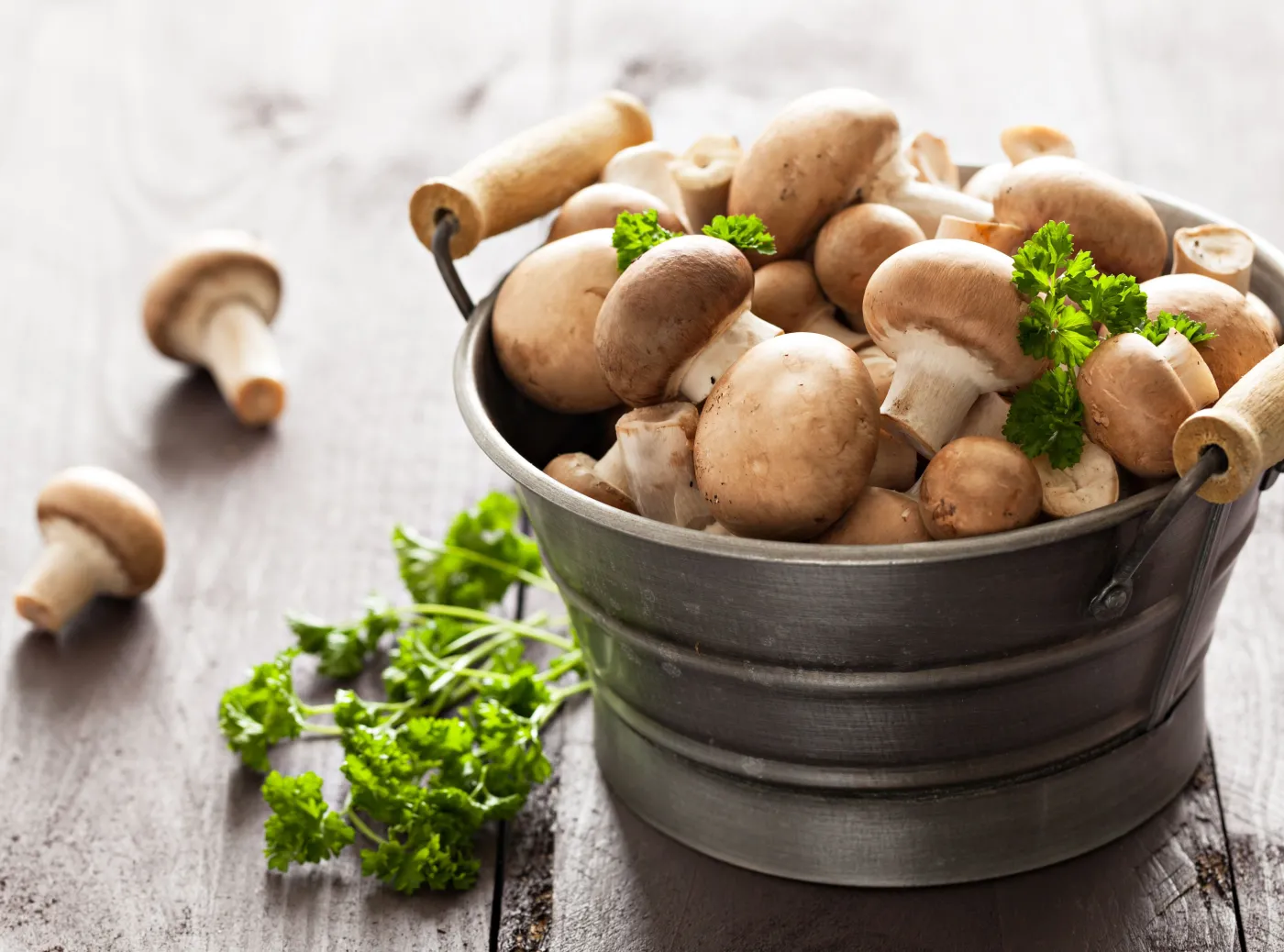 Nie tylko smaczne, ale i zdrowe? Cała prawda o grzybach