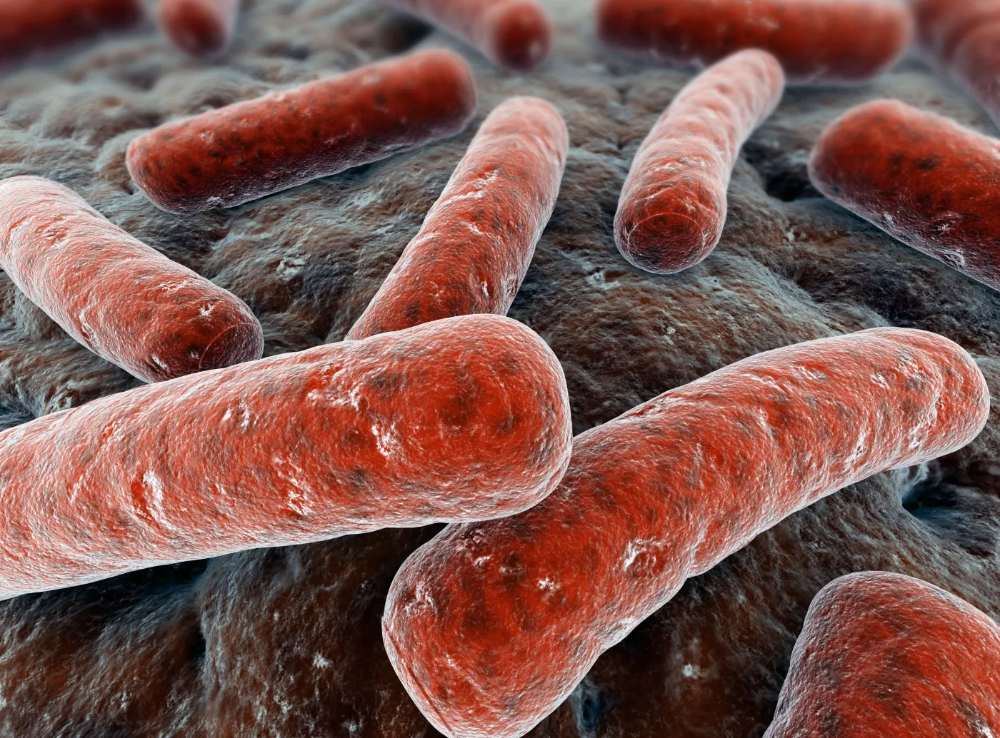 Bakterie nie boją się już leków