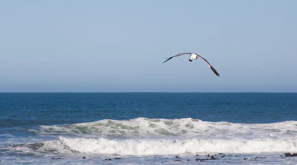 Polski żeglarz uratowany przez portugalską marynarką wojenną
