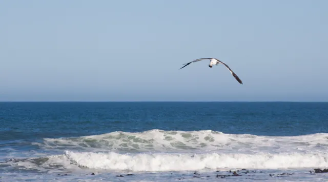 "The Times": Atlantyk skrywa ponad 10 razy więcej plastiku niż szacowano