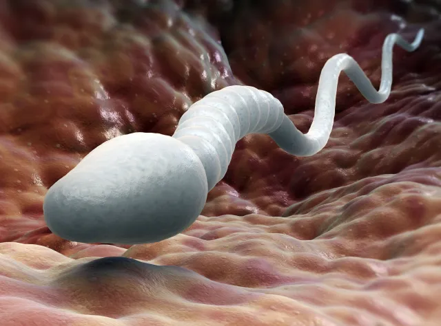 Jest nadzieja dla bezpłodnych par. Naukowcy zrobili plemniki ze... skóry