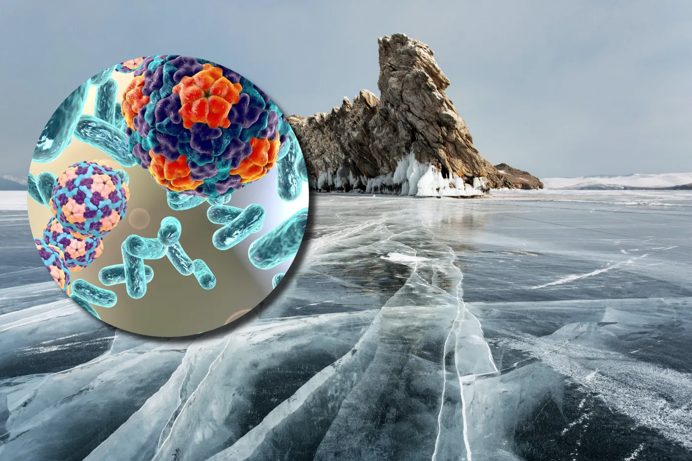 Syberyjskie "wirusy zombie" czekają tylko, aby je obudzić. Zdaniem naukowców to nieuniknione