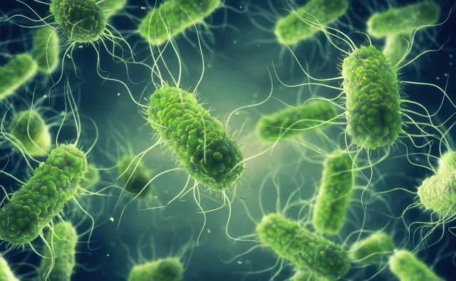 Masowe zatrucie salmonellą w przedszkolu. Kto dba o bezpieczeństwo żywieniowe dzieci?