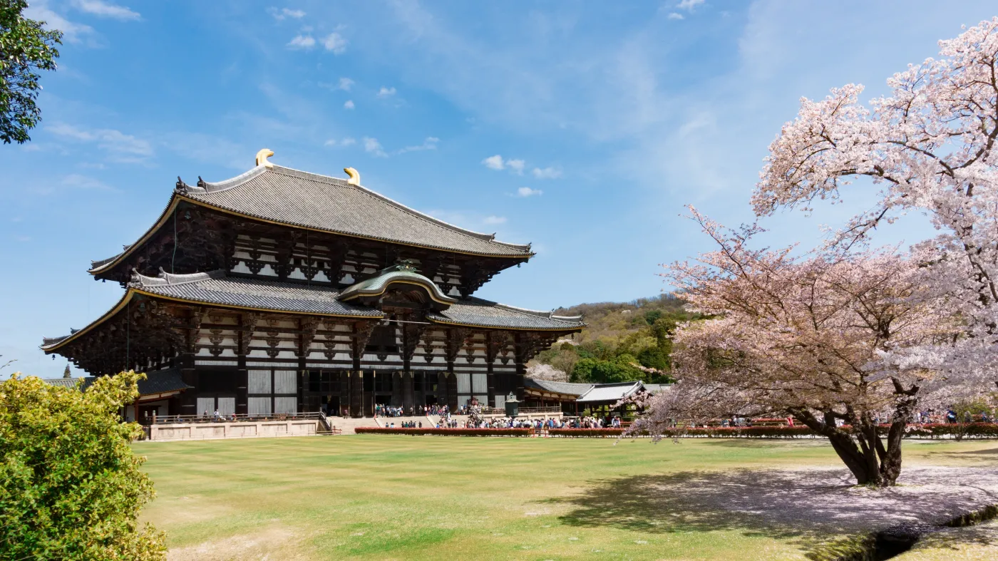 japonia-38060278.jpg