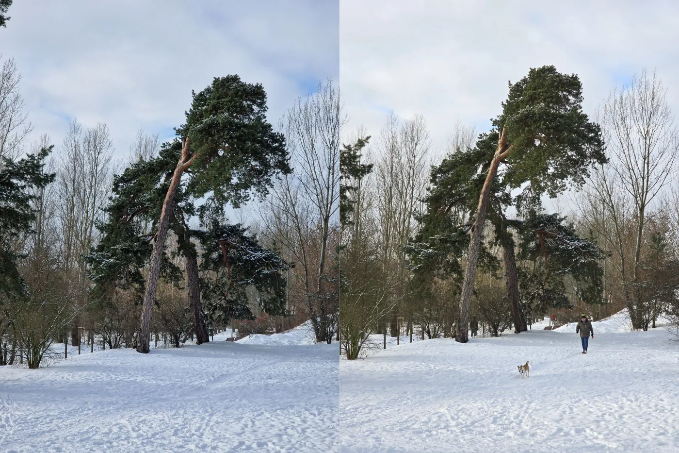 Galaxy S22 Ultra vs Galaxy S24 Ultra
