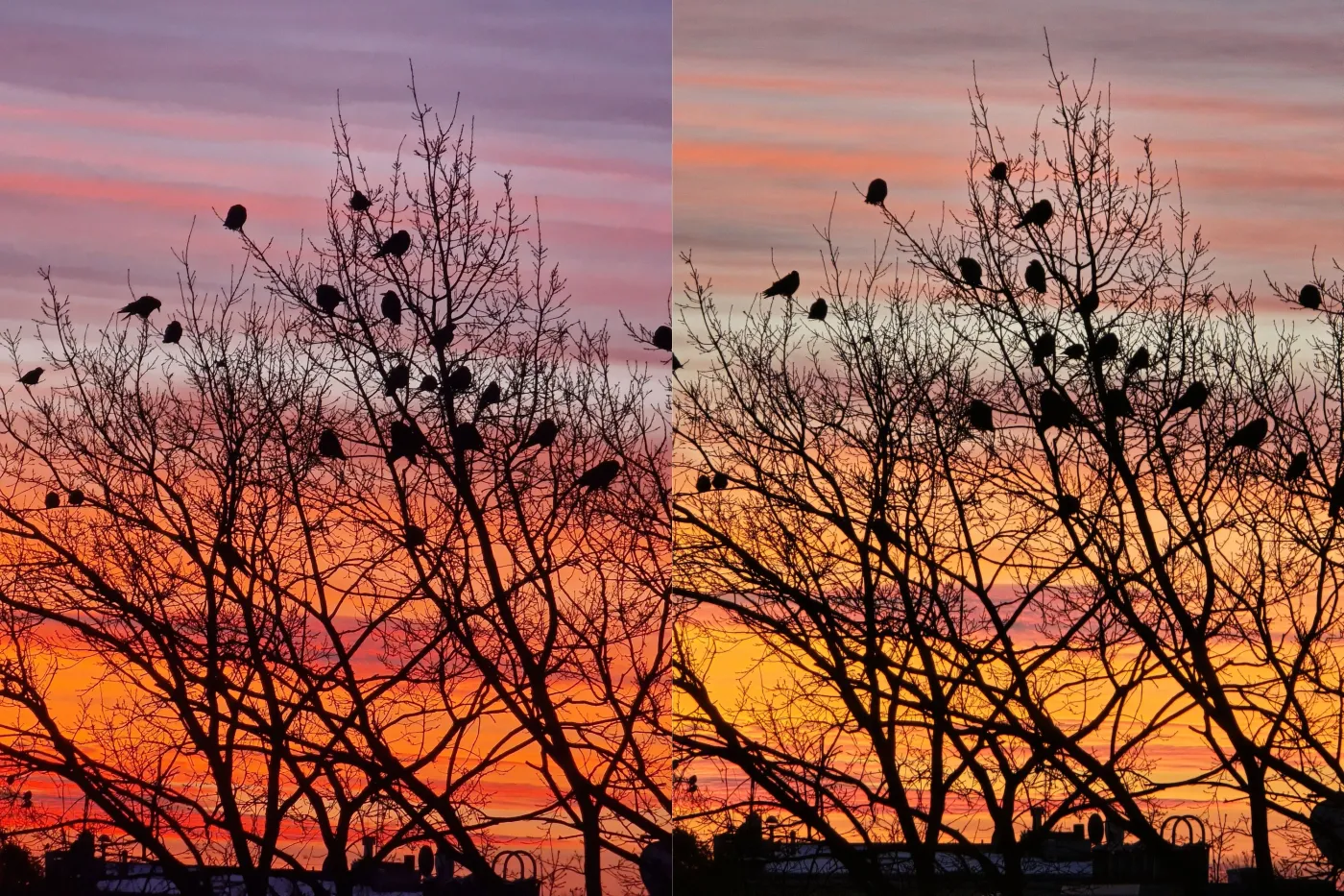 Galaxy S22 Ultra vs Galaxy S24 Ultra