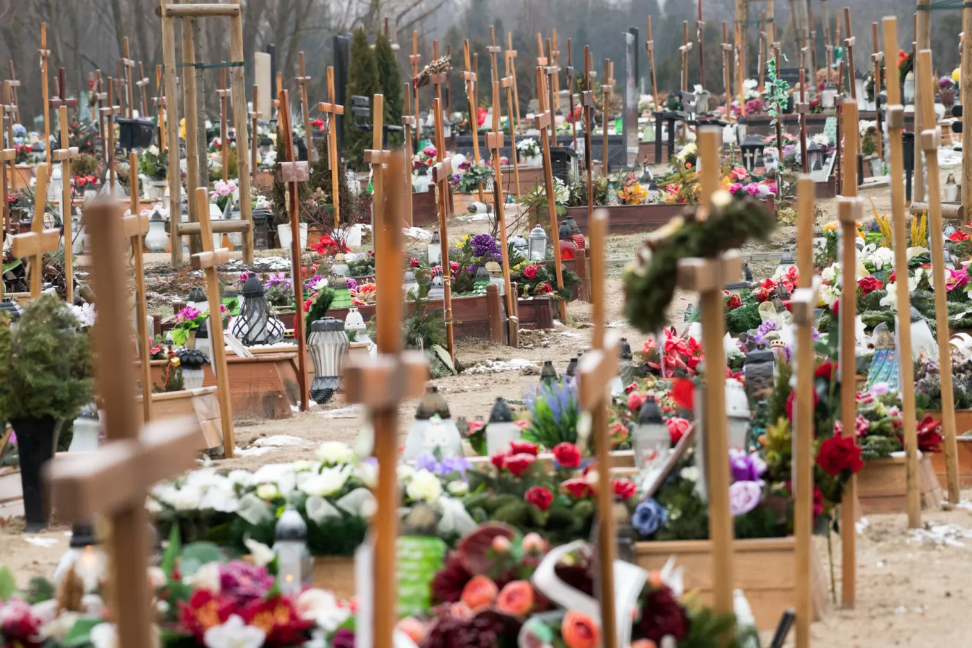 Szukali go od lat. Zaskakujący finał poszukiwań