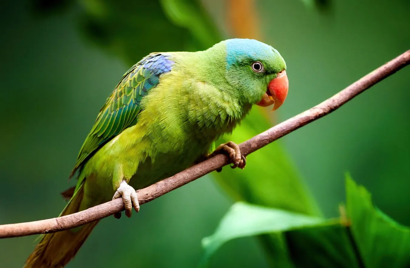 Niebezpieczna epidemia w Europie. Nie żyje już 5 osób