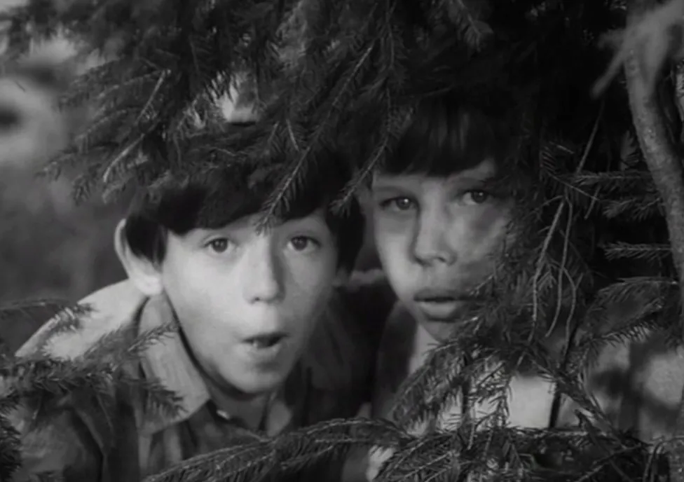 Był "Mandarynem" w "Wakacjach z duchami" - miał przed sobą karierę, zmarł w biedzie