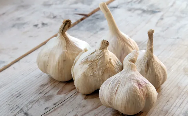 Dlaczego powinieneś jeść więcej... czosnku? POWODY
