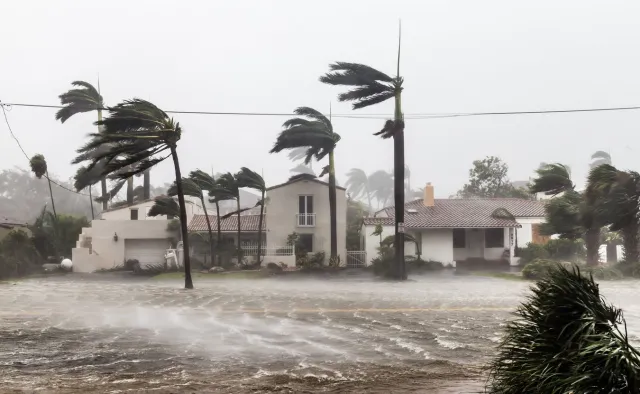 Nakarmiła obcego chłopca własną piersią. "To był naturalny odruch" [FOTO]
