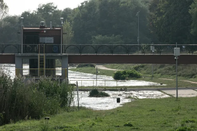 Lasy zniszczone przez powódź. "Odradzamy wstęp ze względów bezpieczeństwa"
