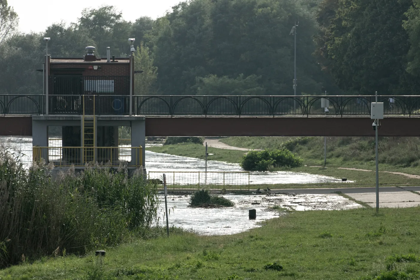 Lasy zniszczone przez powódź. "Odradzamy wstęp ze względów bezpieczeństwa"