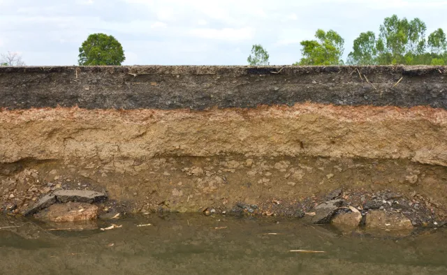 Ostatnie Pokolenie przerywa protesty. "Wstrzymujemy blokady. Jedziemy na południe"