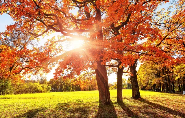 Szykuje się kolejna eksplozja ciepła. Kiedy dotrze do Polski?