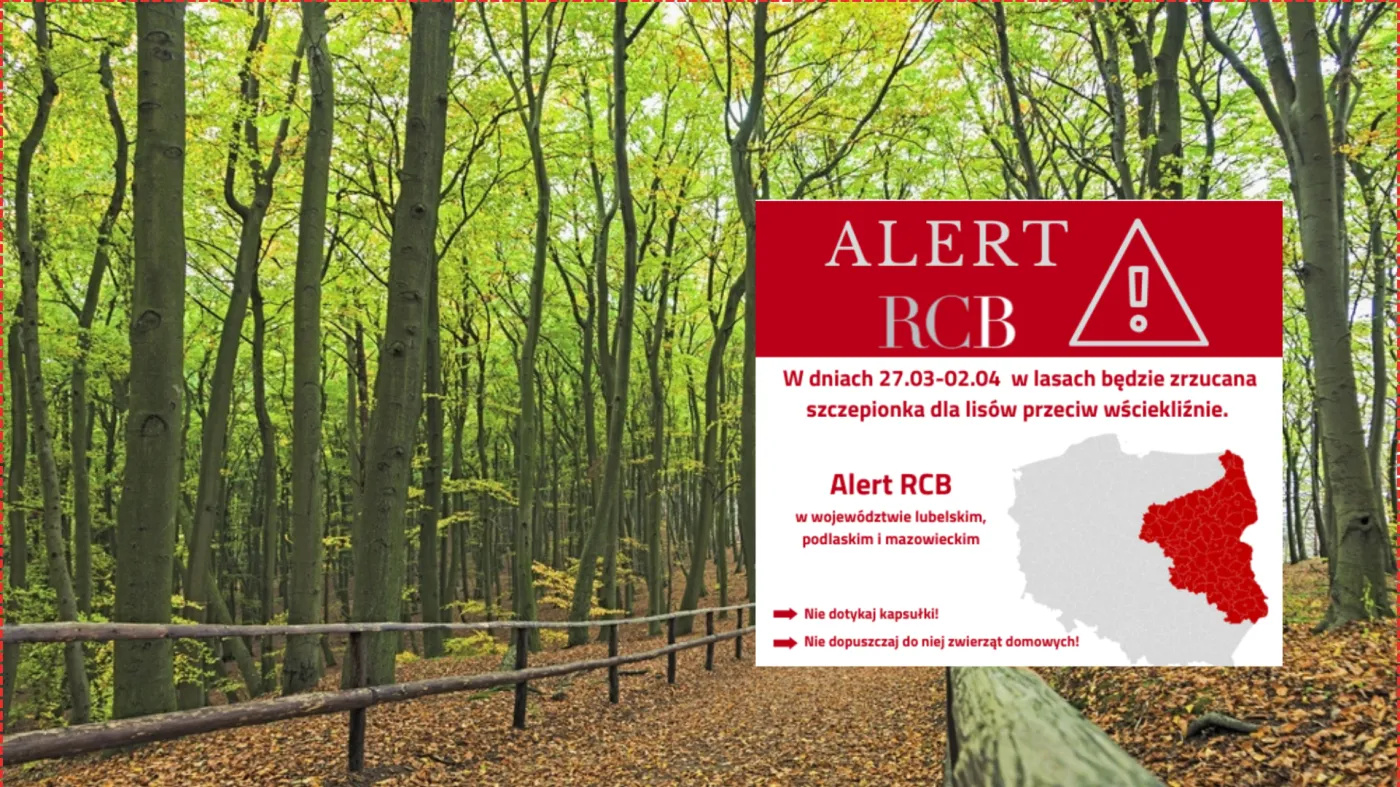 Alert RCB. Ostrzeżenie dla mieszkańców trzech województw