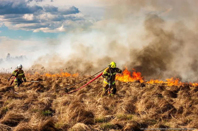 Biebrzański Park Narodowy w ogniu. "Pożar nie jest pod kontrolą"