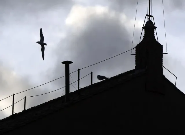 Watykan zabezpiecza konklawe przed podsłuchami. Kardynałowie będą odcięci od świata