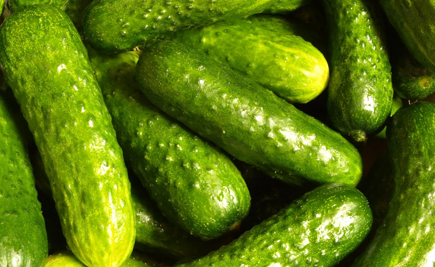 Polacy masowo kupują te ogórki. Lekarka ostrzega: Nie dajcie się wkręcić