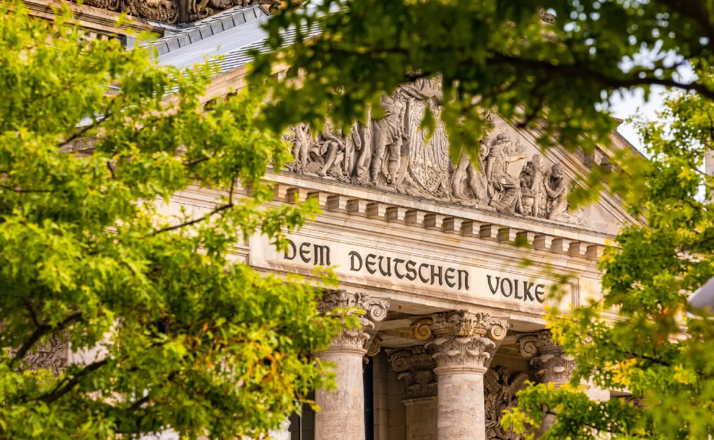 Milion drzew za trzy miliardy euro. Burza w Niemczech. "Absolutny żart"