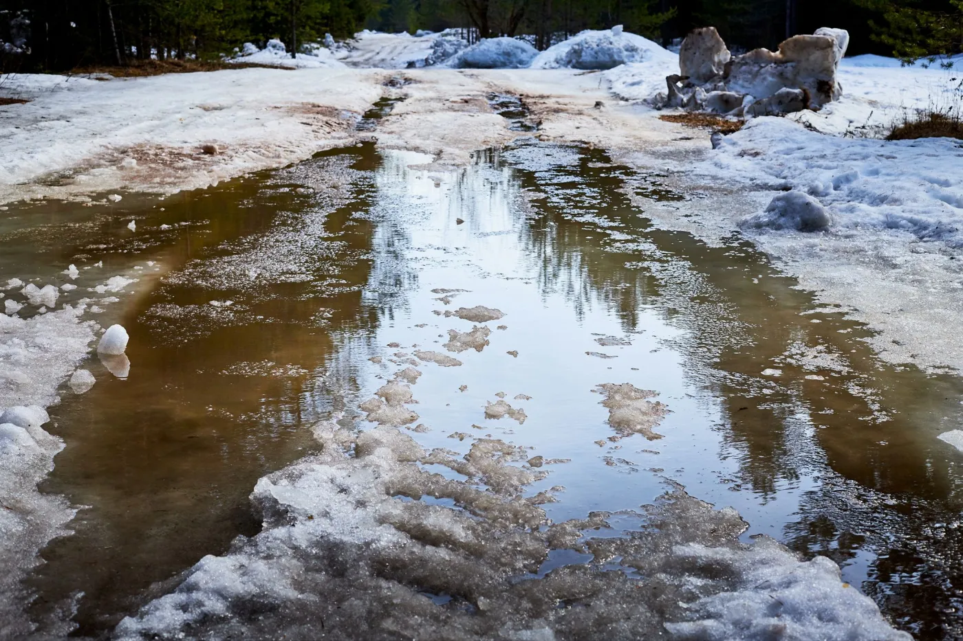 Ostatnie uderzenie mrozu? Potem nawet 10°C. Nadciąga anomalia pogodowa