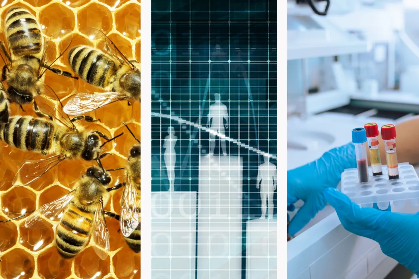 Data, która łączy naturę, naukę i zdrowie