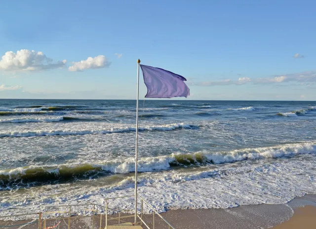 Co oznacza fioletowa flaga na plaży? To ważne ostrzeżenie