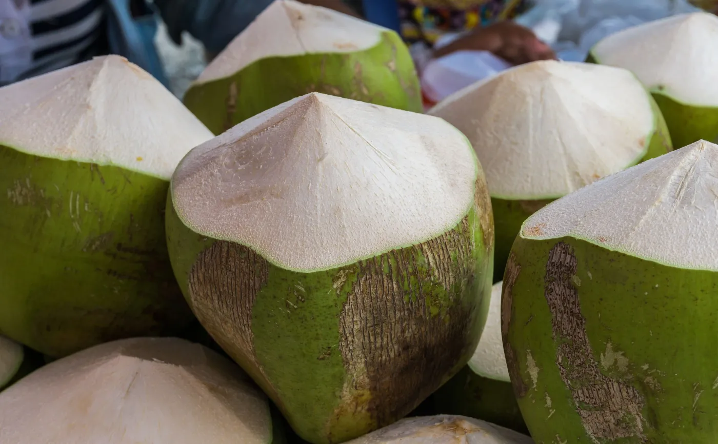 Brytyjskie supermarkety rezygnują ze sprzedaży wyrobów z kokosów zbieranych przez małpy