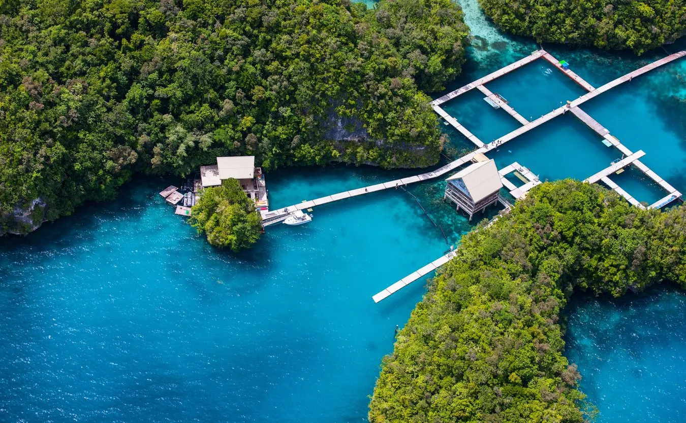 Oto ostatnie wolne od koronawirusa kraje na świecie