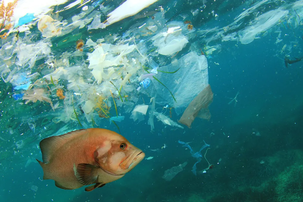 Naukowcy opracowali przyjazny dla środowiska papierowy "plastik"