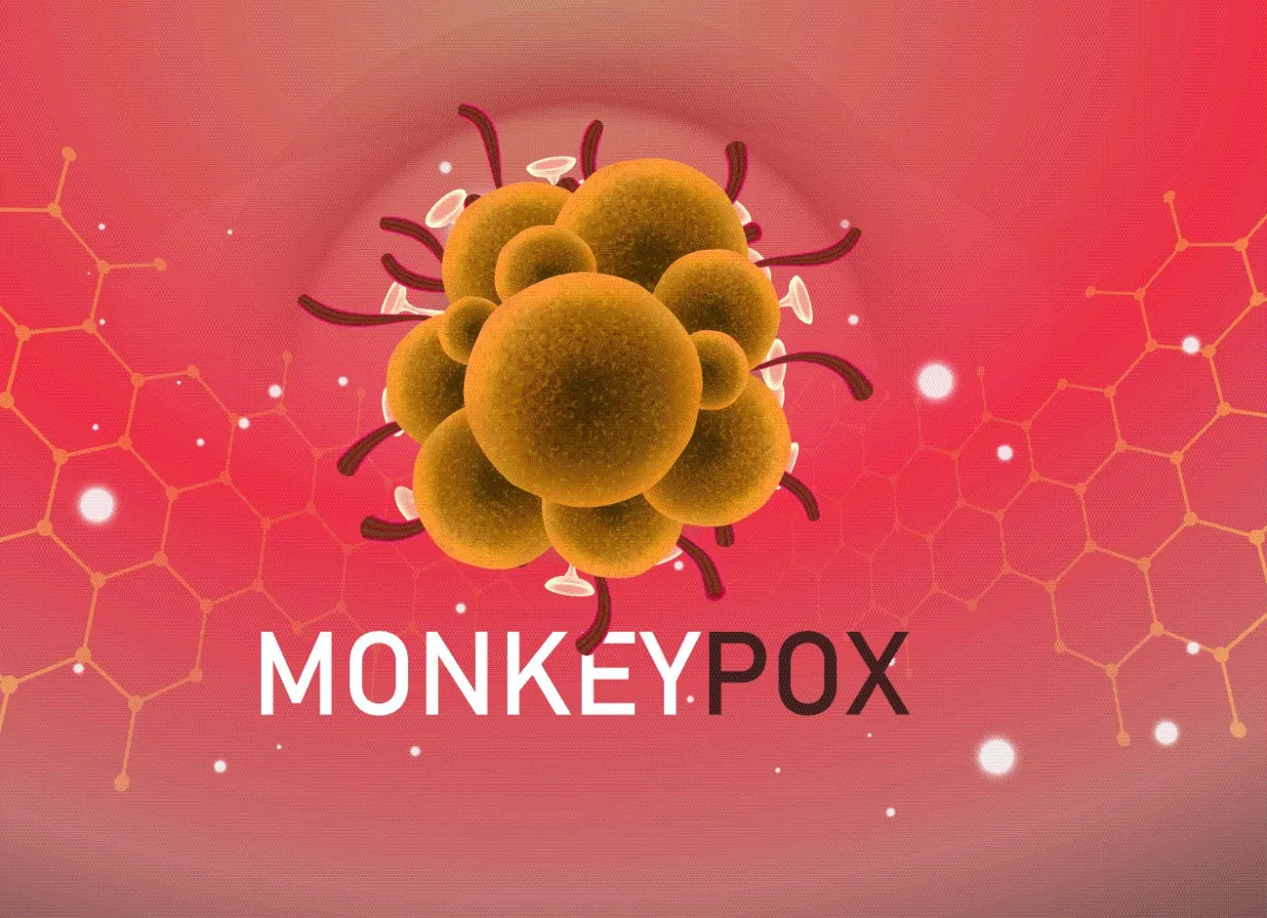 Naukowcy poznali sekwencję wirusa małpiej ospy. "Nie grozi nam epidemia"