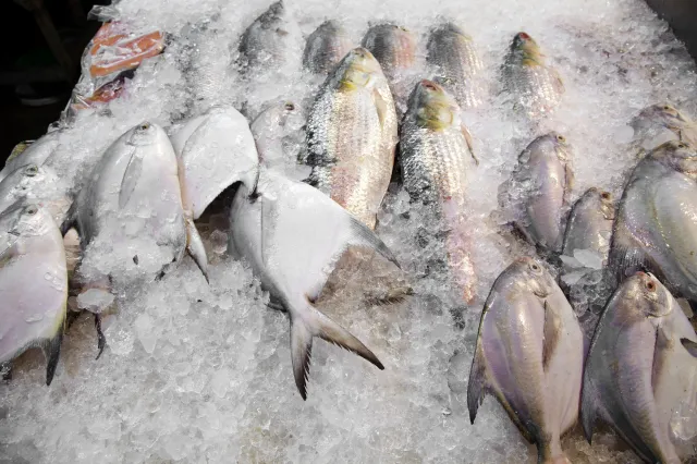 Dieta nordycka obniża poziom cholesterolu i cukru we krwi