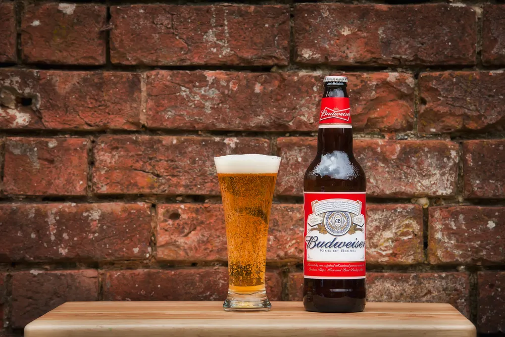 piwo, Budweiser 