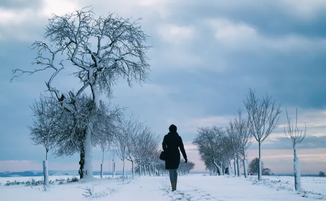 Świeże powietrze sprawia, że czujemy się szczęśliwsi w pandemii [BADANIE]