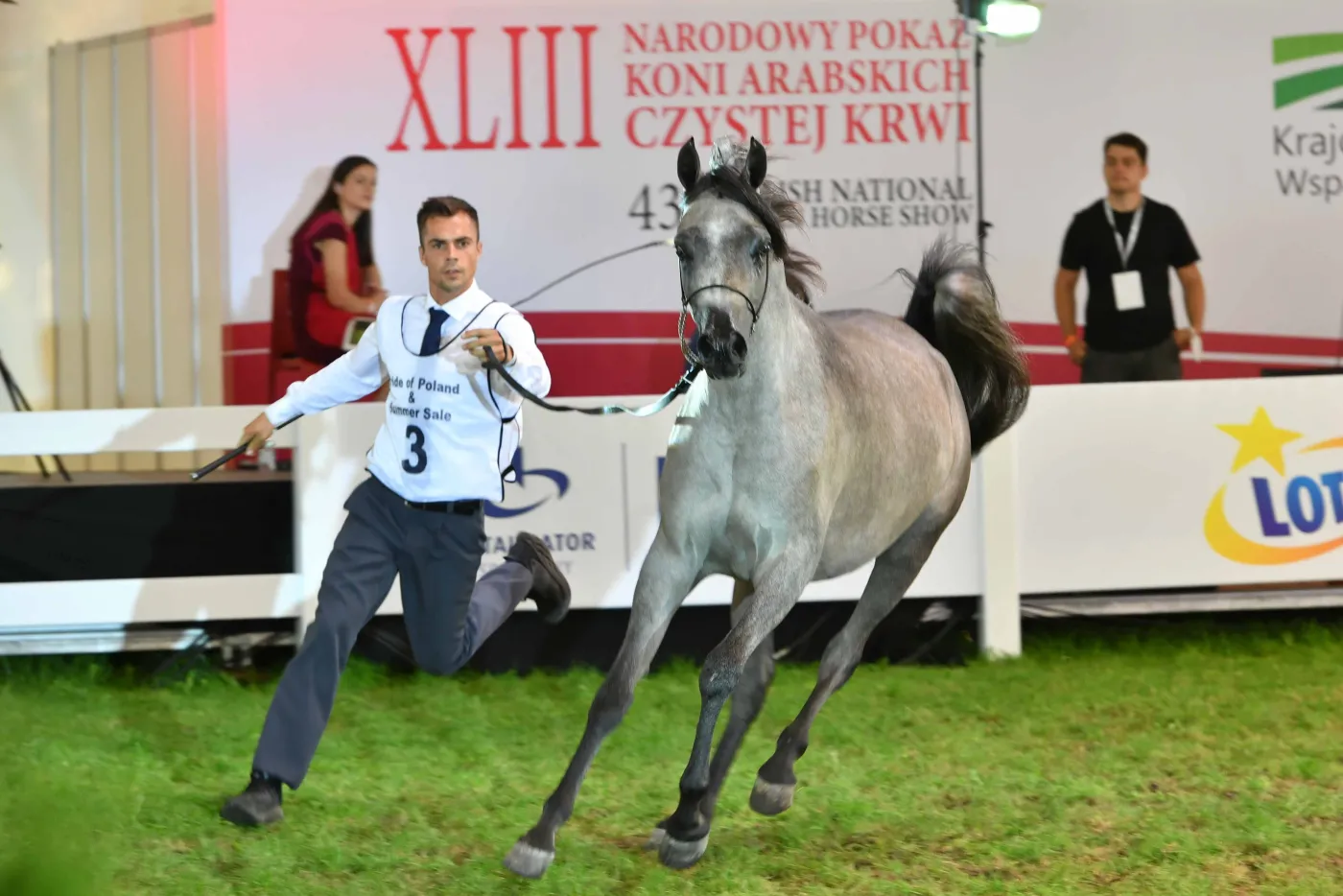 Aukcja Pride of Poland. Sprzedano konie za 1,6 mln euro