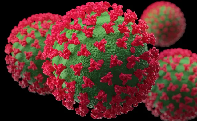 Chiny: Obecnie nie grozi nam epidemia Krakena