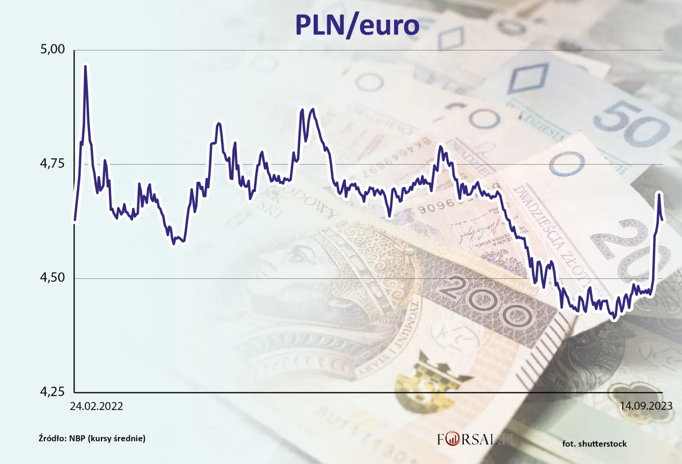 „Słaby” złoty to też wina NBP? [OPINIA]