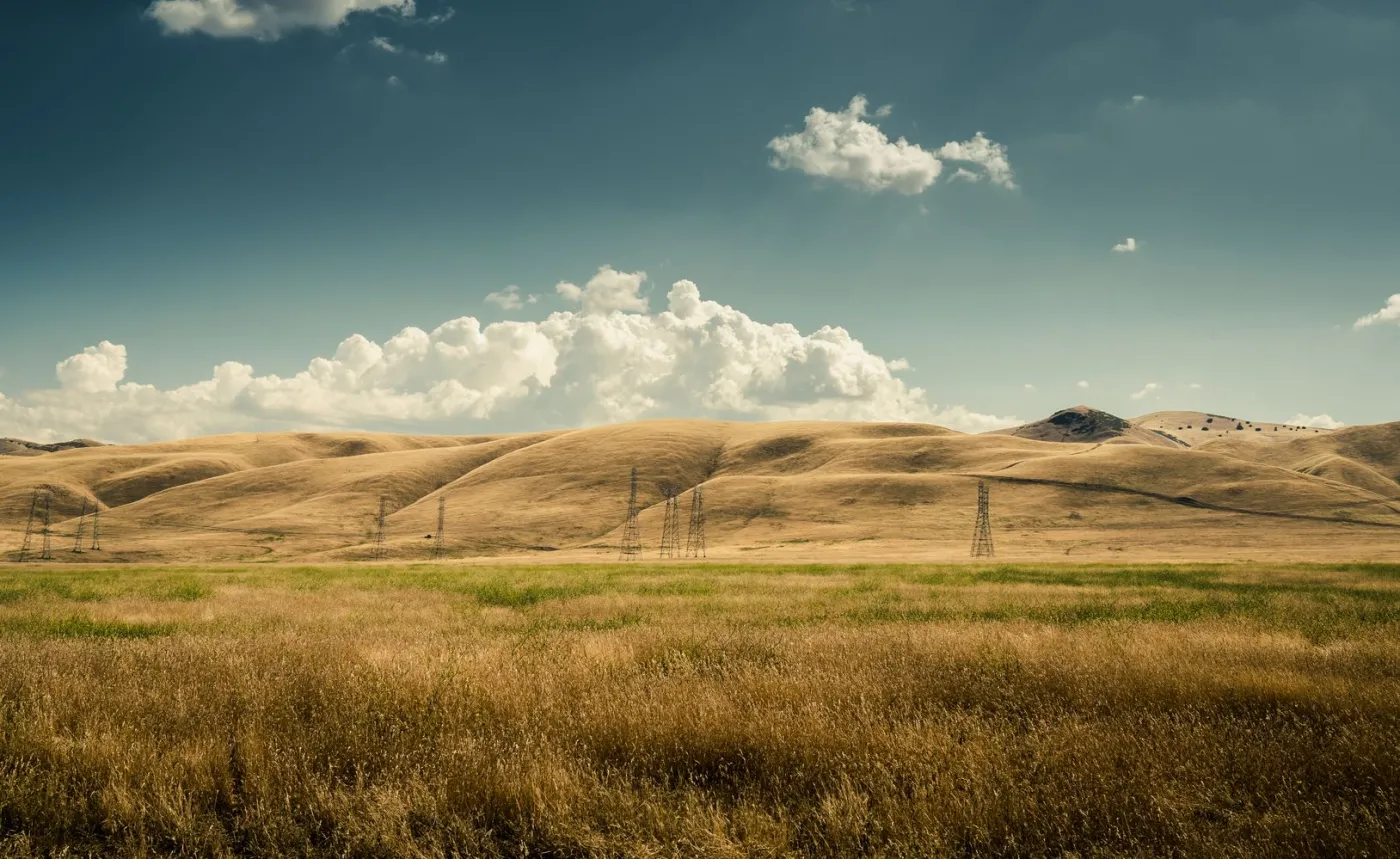 Polska będzie jak Kalifornia lub Australia? Ekspert ostrzega